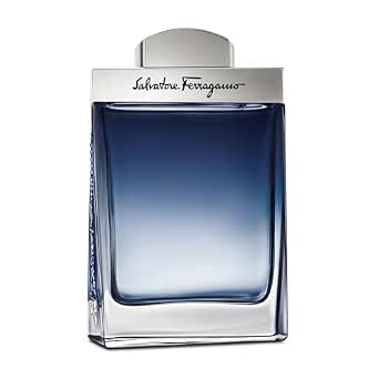 S. Ferragamo Subtil 3.4oz Eau de Toilette