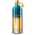 AOUD LAGOON 3.4OZ EDP SPY (3 left) - Unisex Tester